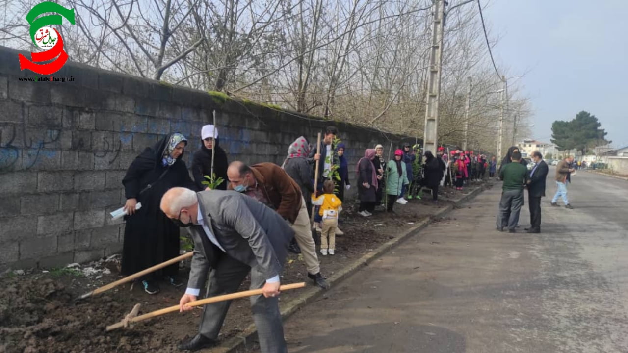 پویش درخت کاری بانوان ورزش کار بندرکیاشهر