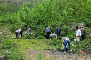 طبیعت زیبای منطقه بالا رود شهرستان سیاهکل از زباله انباشت شده پاکسازی شدپاک