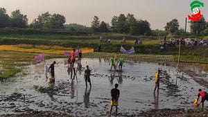 فینال اولین دوره مسابقات والیچل ( والیبال در گِل ) در آستانه اشرفیه برگزارشد