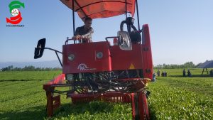 از ساخت دستگاه کمباین برداشت  مکانیزه برگ سبز چای در آستانه‌اشرفیه رو نمایی شد + عکس و فیلم