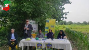 کارگاه آموزشی «روز مزرعه» با موضوع بادام زمینی در آستانه اشرفیه برگزارشد