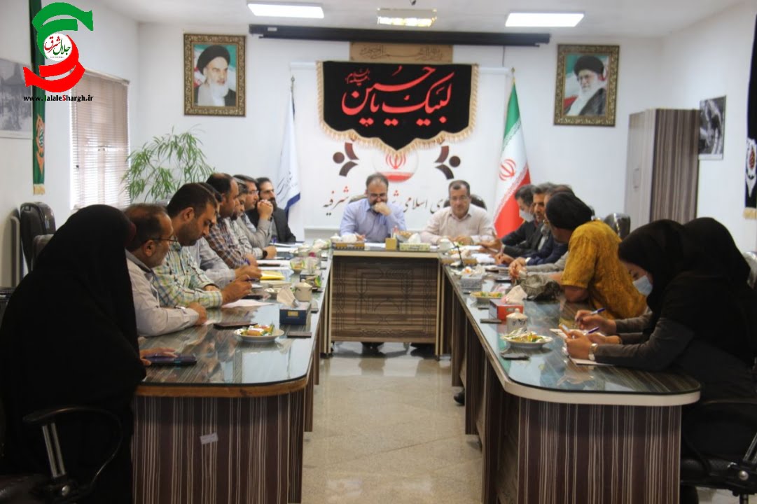 هم افزایی دستگاه ها با شهرداری برای مدیریت سگ های بلا صاحب وجود ندارد