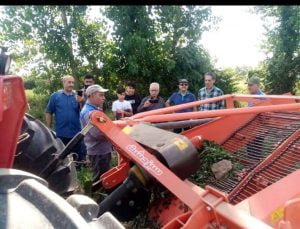 بهره برداری آزمایشی از  دستگاه دروگر  بادام زمینی درباغات بادام  شهرستان آستانه اشرفیه