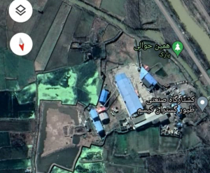 کشتارگاهی که هم مرغ می‌کشد هم آرامش مردم /از گله‌مندی مردم تا خونسردی مسؤولان