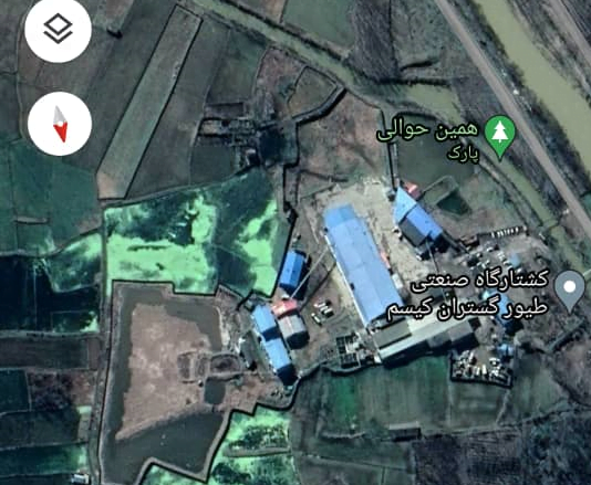 کشتارگاهی که هم مرغ میکشد هم آرامش مردم /از گلهمندی مردم تا خونسردی مسؤولان