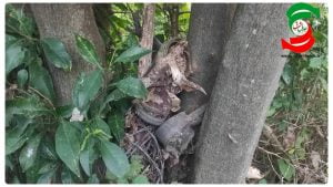 روایت کفش‌های برجای‌مانده یک شهید  