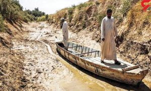 فقط سه سال برای مقابله با فاجعه اقلیمی فرصت داریم/افزایش سرعت نابودی منابع آب و خاک کشور