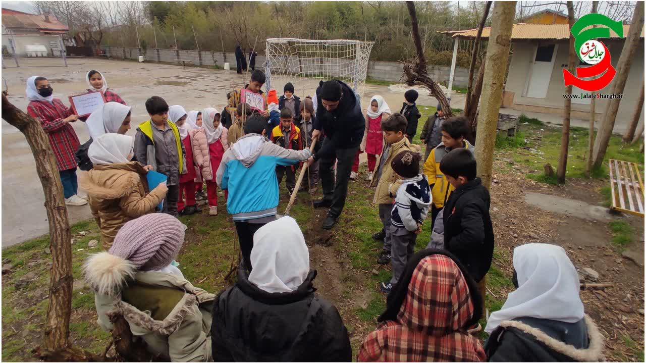 نهضت کاشت نهال توسط دانش آموزان یک دبستان روستایی در آستانه اشرفیه+عکس