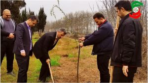 غرس  آخرین نهال درخت توسط شهردار مستعفی آستانه اشرفیه