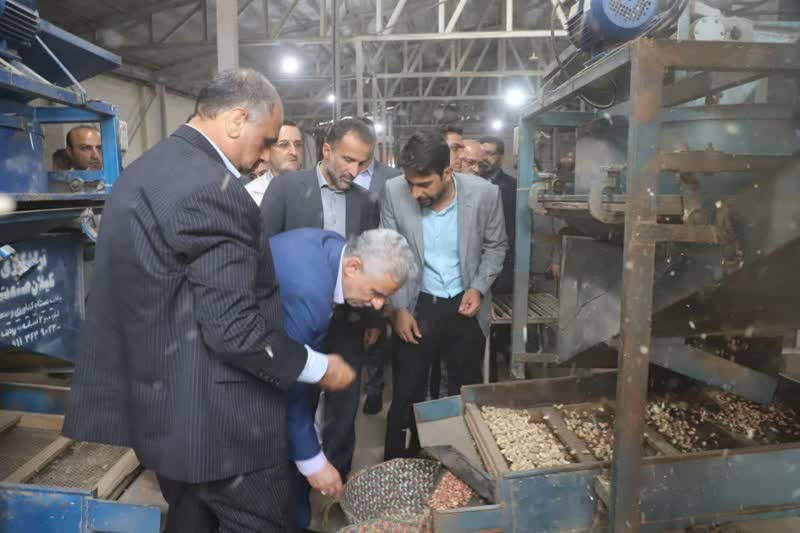 حضور وزیر جهاد کشاورزی در جمع بادام کاران آستانه ای  و چایکاران لاهیجانی