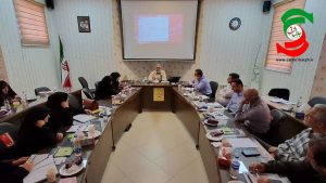 اولین کارگاه هم افزایی نویسندگان مقالات دانشنامه دفاع مقدس در رشت برگزارشد