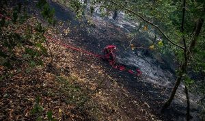 دستور رئیس کل دادگستری استان گیلان به دادستان‌ها برای همکاری در اطفای حریق جنگل‌ها