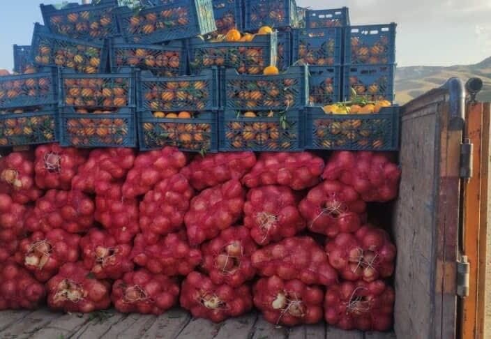 قاچاق عجیب پیاز در لباس پرتقال ! (عکس)