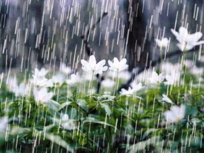 هواشناسی برای سفر به ۱۴ استان هشدار داد/سامانه جدید بارشی از جمعه وارد کشور می شود