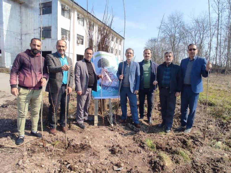 غرس ۲۰۰ اصله نهال در محوطه اداره جهاد کشاورزی آستانه اشرفیه