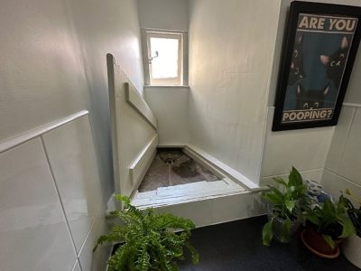 یک زوج انگلیسی که به تازگی به خانۀ جدیدشان در شهر لینکلن نقل مکان کرده بودند، بعد از باز کردن یک دریچۀ چوبی در توالت خانه‌شان، یک چهرۀ عجیب ۶۰۰ ساله را که در آنجا پنهان شده بود مشاهده کردند.