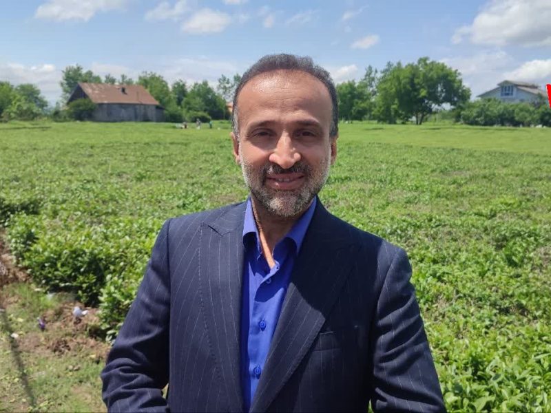 سیاست گذاری دولت به ازای هر دو کیلو واردات چای،خرید یک کیلو چای داخلی است