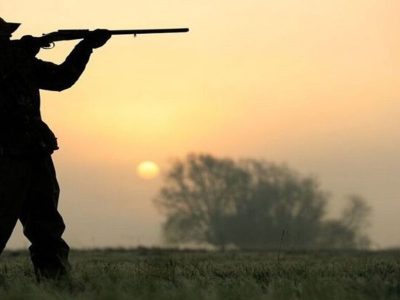 از سرگیری صدور مجوز عادی شکار در گیلان/فصل مجاز شکار از تاریخ صدور پروانه  تا ۳۰ بهمن ماه سال جاری خواهد بود