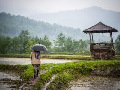 هزار و ۲۰۰ میلیارد ریال غرامت به کشاورزان گیلان پرداخت شد