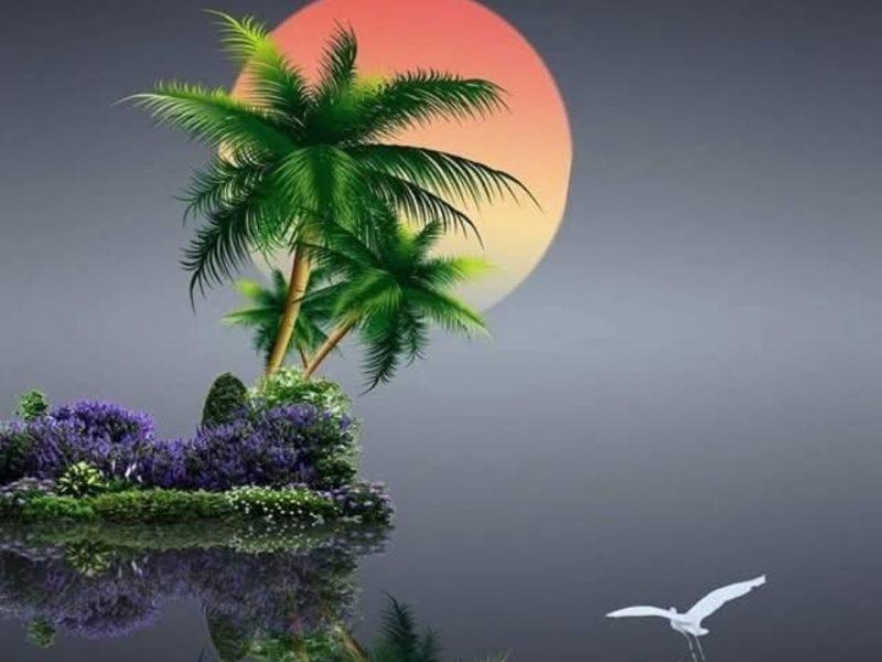 عشق وطبیعت (در ازل پرتو حسنت ز تجلی دم زد/ عشق پیدا شد و آتش به همه عالم زد)