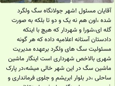 صدای شهر و روستا( ما صدای شما در هرجای گیلان خواهیم بود)/معضل  سگ ولگرد