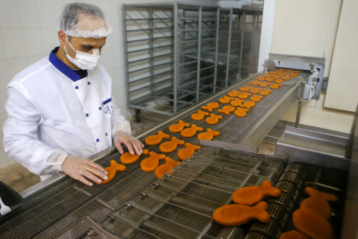 صنایع شیلاتی پیشرو در گیلان؛ از ضرورت حمایت تا فرهنگ‌سازی