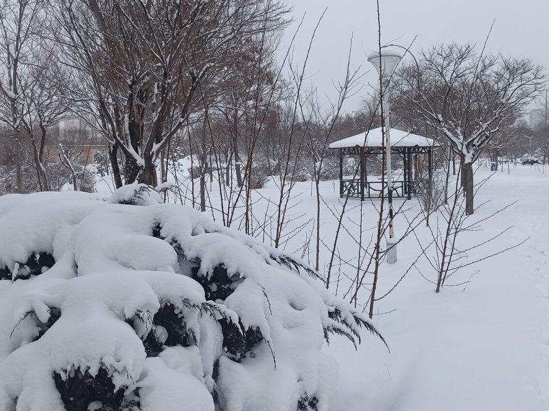 شرکت‌های برق و گاز گیلان با ۷۰۰ تیم عملیاتی آماده باش هستند شرکت‌های برق و گاز گیلان با ۷۰۰ تیم عملیاتی آماده باش هستند