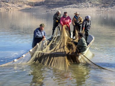 ماهیگیران گیلان تور از آب کشیدند