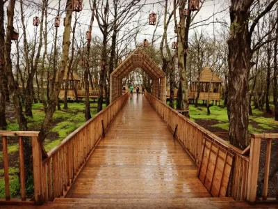 موج دوم گردشگران نوروزی از چهارشنبه به گیلان