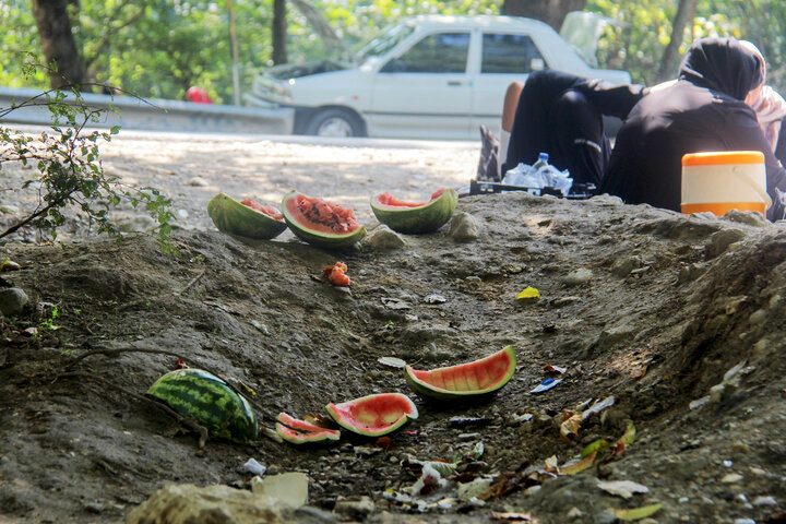 زباله‌ها را در طبیعت جا نگذاریم/ خودداری از غذا دادن به حیوانات