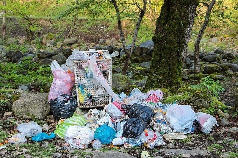 سیزده بدر؛ طبیعت در هجمه بی مهری‌ مردمان