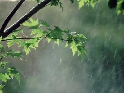 خارج شدن سامانه بارشی از گیلان /امام زاده اسحاق شفت ۶۰ میلیمتر، املش ۵۱ و سیاهکل ۳۷ میلیمتر بیشترین بارش ۴۸ ساعت اخیر