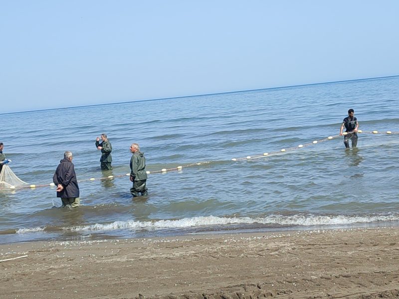 فصل صید ماهیان استخوانی در گیلان خاتمه یافت