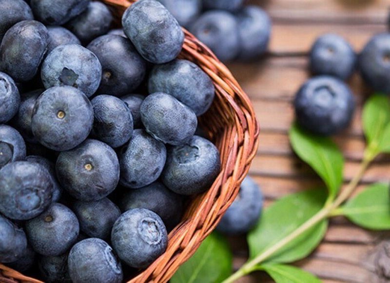 نخستین جشنواره ملی بلوبری در گیلان