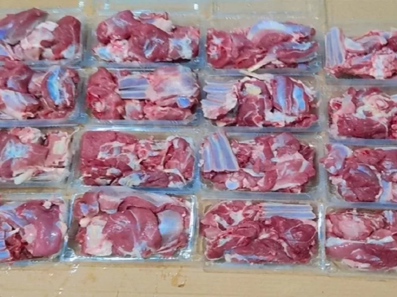 ذبح ۳۱ رأس گوسفند و توزیع گوشت بین مددجویان کمیته امداد آستانه اشرفیه و بندرکیاشهر