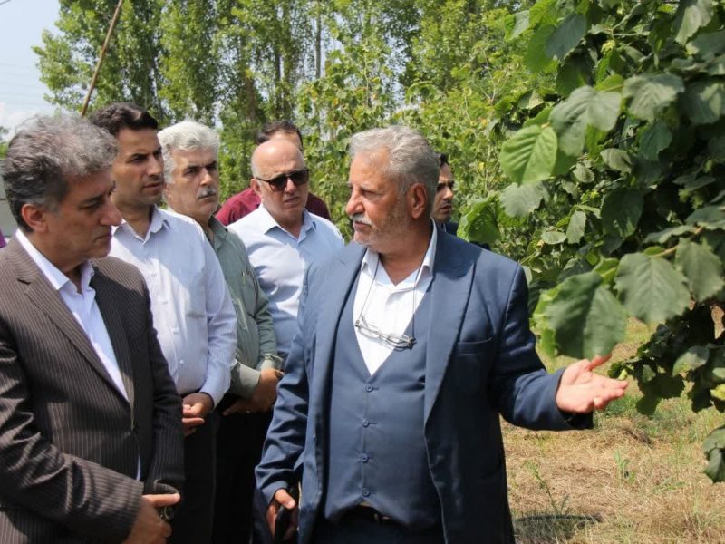  توسعه فندق و گل‌گاوزبان با تحقیقات علمی شتاب می‌گیرد