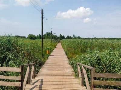 سعید فدایی سرپرست شهرداری بندر کیاشهر شد