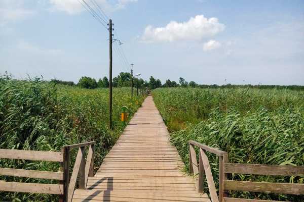 سعید فدایی سرپرست شهرداری بندر کیاشهر شد