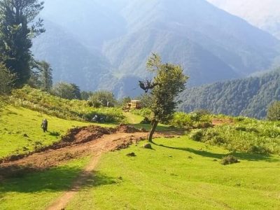 بازوی بتنی بر سینه جنگل هیرکانی؛ دغدغه جدید محیط‌بانان گیلان