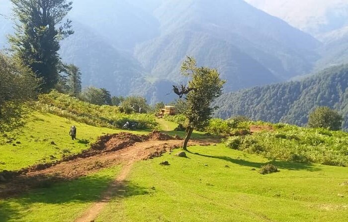 بازوی بتنی بر سینه جنگل هیرکانی؛ دغدغه جدید محیط‌بانان گیلان