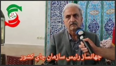 پرداخت ۷۲ درصد مطالبات چای‌کاران توسط کارخانجات / خرید بیش از ۸۲ هزار و ۸۰۰ تن برگ سبز چای از استان‌های گیلان و مازندران