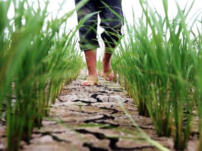 آخرین اقدام‌های صورت گرفته برای رفع تنش آبی در رودبار