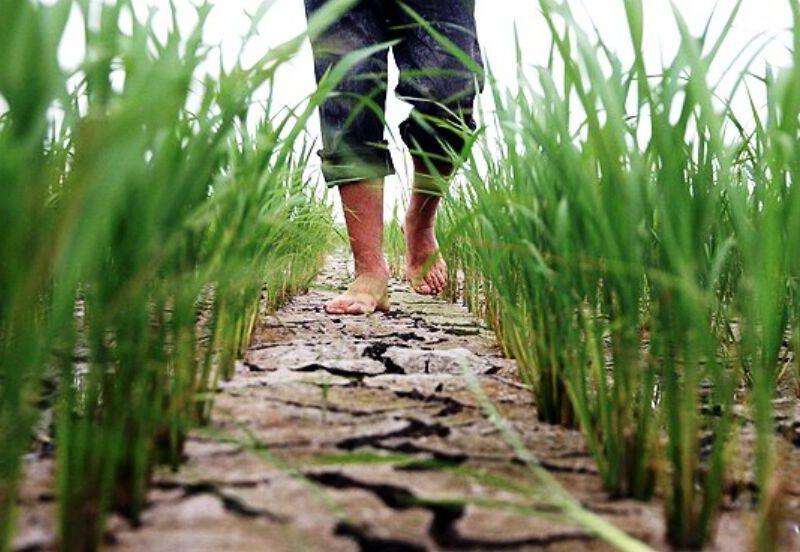 آخرین اقدام‌های صورت گرفته برای رفع تنش آبی در رودبار