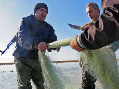 ۱۲۳ تور زیرآبی در پارک ملی بوجاق جمع‌آوری شد