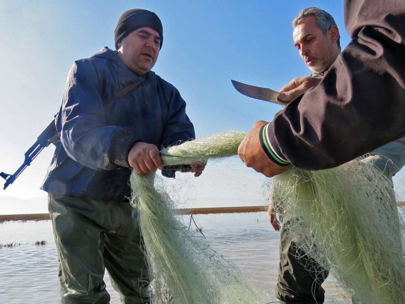 ۱۲۳ تور زیرآبی در پارک ملی بوجاق جمعآوری شد