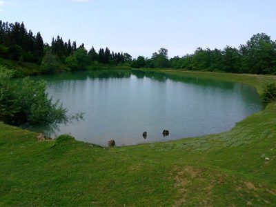 هزاران هکتار از اراضی کشاورزی بندرانزلی در وضعیت قرمز قرار دارد