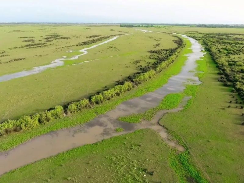 بوجاق گیلان نفس کشید؛ آغاز پاکسازی آروجیا تا افزایش قرقاولان