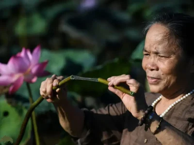 ابریشم لوتوس؛ نادرترین و لوکس‌ترین پارچه جهان که از گیاه نیلوفرآبی بافته می‌شود و هر متر آن تا ۸۸ میلیون تومان قیمت دارد