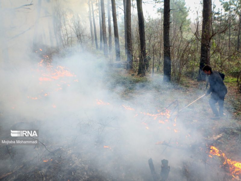 بیش از ۸۰ هکتار از جنگلهای گیلان در آتش سوخت