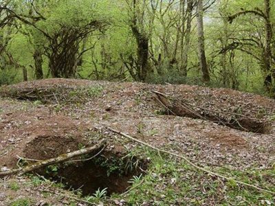 فرمانده یگان حفاظت میراث فرهنگی: ۲۵۷ حفار غیرمجاز در گیلان دستگیر شدند